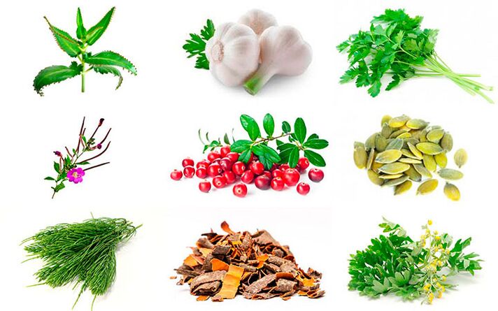 remedios caseros para el tratamiento de la prostatitis