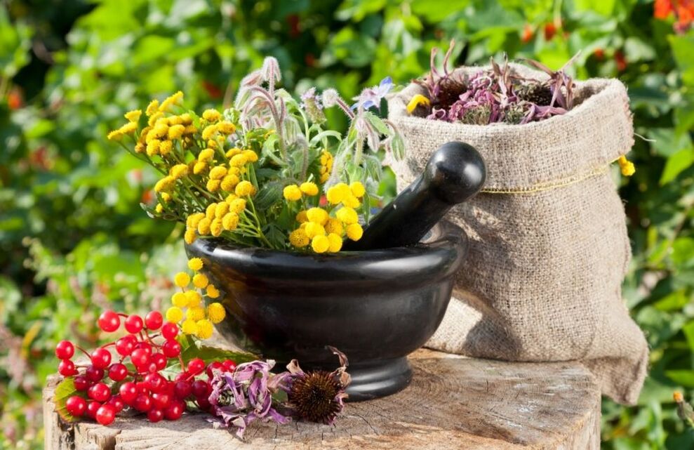 Los medicamentos a base de plantas medicinales se utilizan en el tratamiento de la prostatitis. 